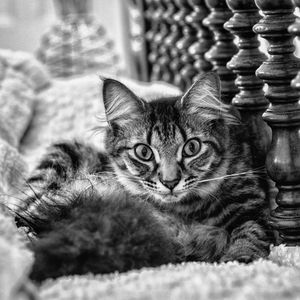 Image post by @catocataldo on Instagram