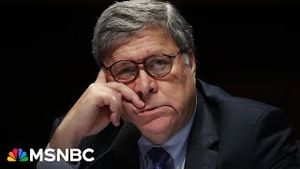 Video post by @msnbc on YouTube