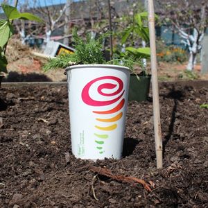 Image post by @jambajuice on Instagram
