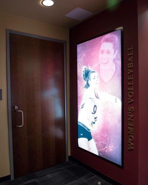 Image post by @elonvb on Instagram