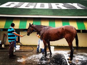 Image post by @michaelmreaves on Instagram