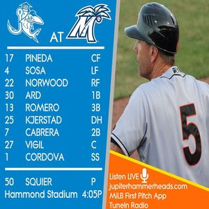 Image post by @gohammerheads on Instagram