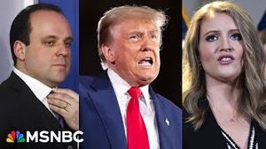Video post by @msnbc on YouTube