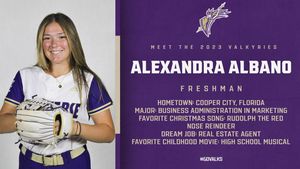 Image post by @valkyriessoftball on Instagram