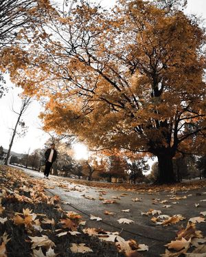 Image post by @andytorres_a on Instagram