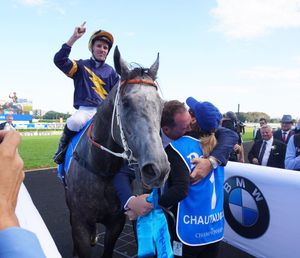 Image post by @australianturfclub on Instagram