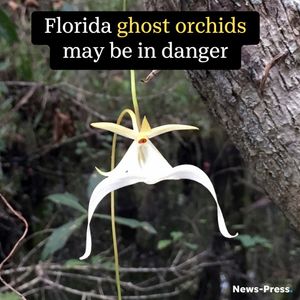 Image post by @thenewspress on Instagram