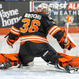Image post by @fwkomets on Instagram