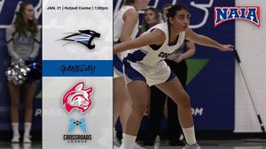 Image post by @ladycougbball on Instagram