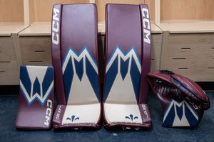 Image post by @goaliegearnerd on Instagram