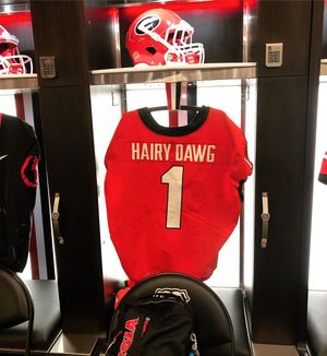 Image post by @ugahairydawg on Instagram