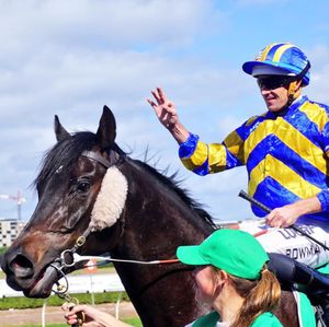 Image post by @australianturfclub on Instagram
