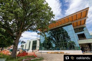 Image post by @oaklandswimdive on Instagram