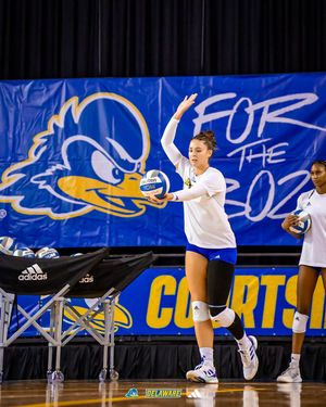 Image post by @delaware_vb on Instagram