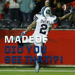 Image post by @torontoargos on Instagram
