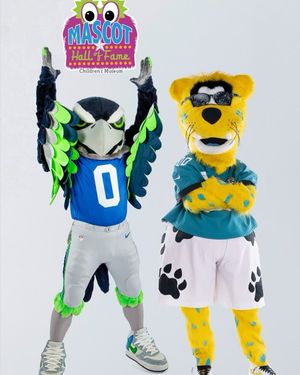 Image post by @blitztheseahawk on Instagram