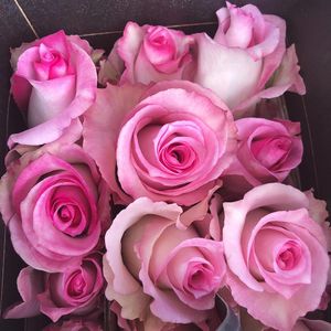 Image post by @bonita_flowers on Instagram