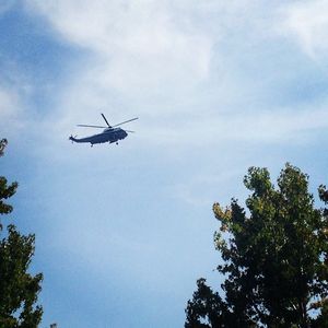 Image post by @seahorsecases on Instagram