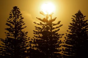 Image post by @adelaidegiants on Instagram