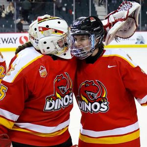 Image post by @ucalgarydinos on Instagram