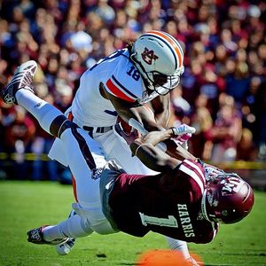 Image post by @auburntigers on Instagram