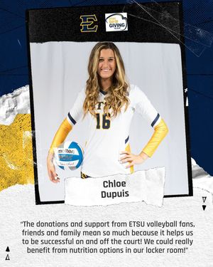 Image post by @etsuvolleyball on Instagram