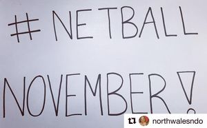 Image post by @walesnetball_ on Instagram