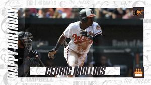 Image post by @gocamelsbsb on Instagram