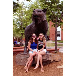 Image post by @quinnipiacu on Instagram