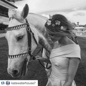Image post by @australianturfclub on Instagram