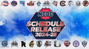 Image post by @usphlhockey on Instagram