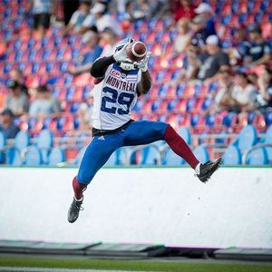 Image post by @mtlalouettes on Instagram