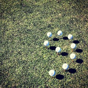 Image post by @seniorpgachamp on Instagram