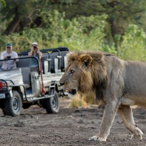 Image post by @chiawasafaris on Instagram