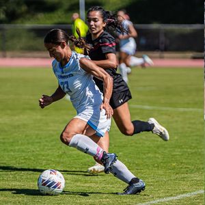 Image post by @nataliedimegliomedia on Instagram