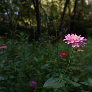 Image post by @endlessoutdoors on Instagram