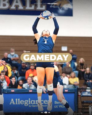 Image post by @msubobcatsvb on Instagram