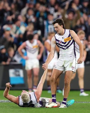 Image post by @freodockers on Instagram