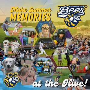 Image post by @burlington_bees on Instagram