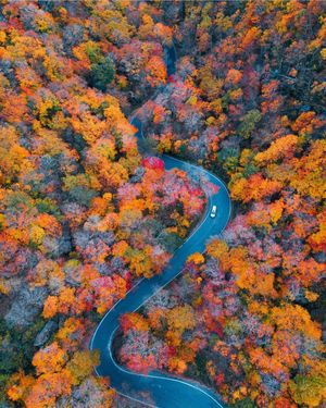 Image post by @dronepals on Instagram