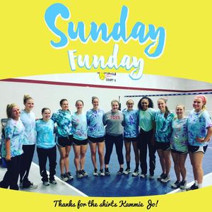 Image post by @memphisvball on Instagram