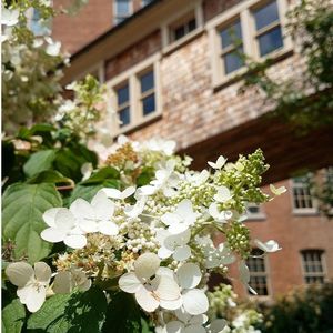 Image post by @shippensburgu on Instagram