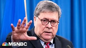 Video post by @msnbc on YouTube