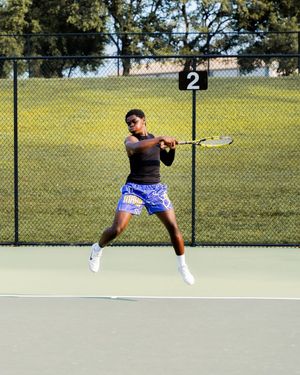 Image post by @thekingdion on Instagram