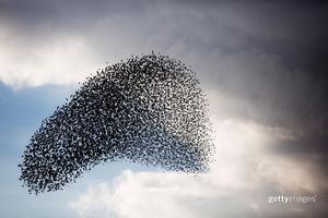 Image post by @gettyimages on Instagram