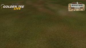 Image post by @GoldenTee on Facebook