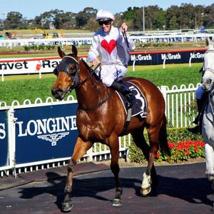 Image post by @australianturfclub on Instagram