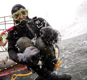 Image post by @discovery on Instagram