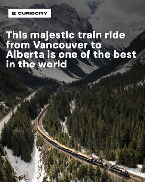 Image post by @curiocitycalgary on Instagram