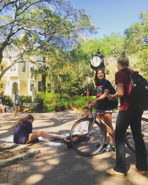 Image post by @collegeofcharleston on Instagram